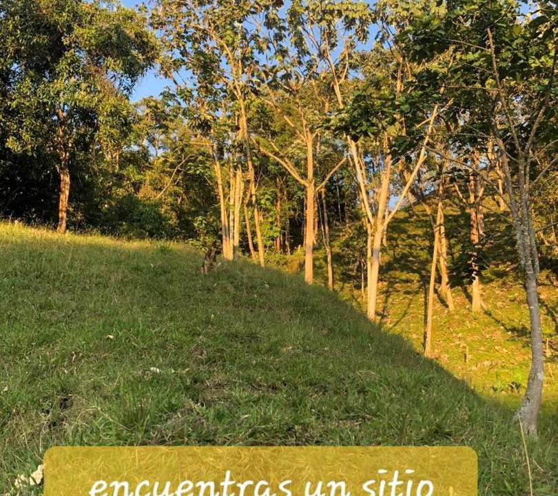 Photo of Others in Manizales