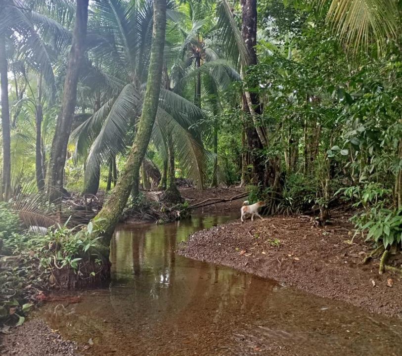 Photo of Others in Bahia Solano