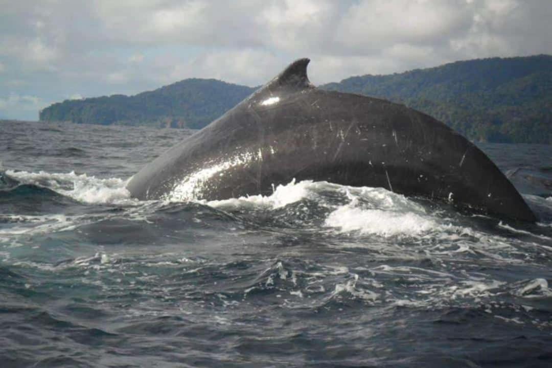 Photo of Others in El Valle