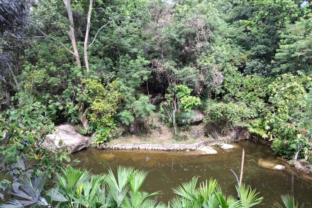 Photo of Others in Campoalegre
