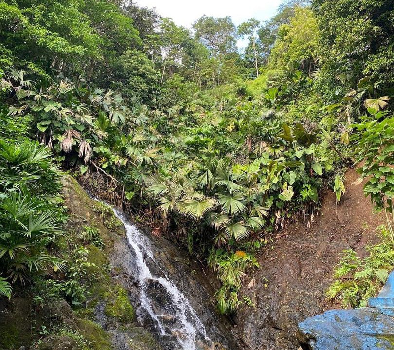 Photo of Others in El Valle