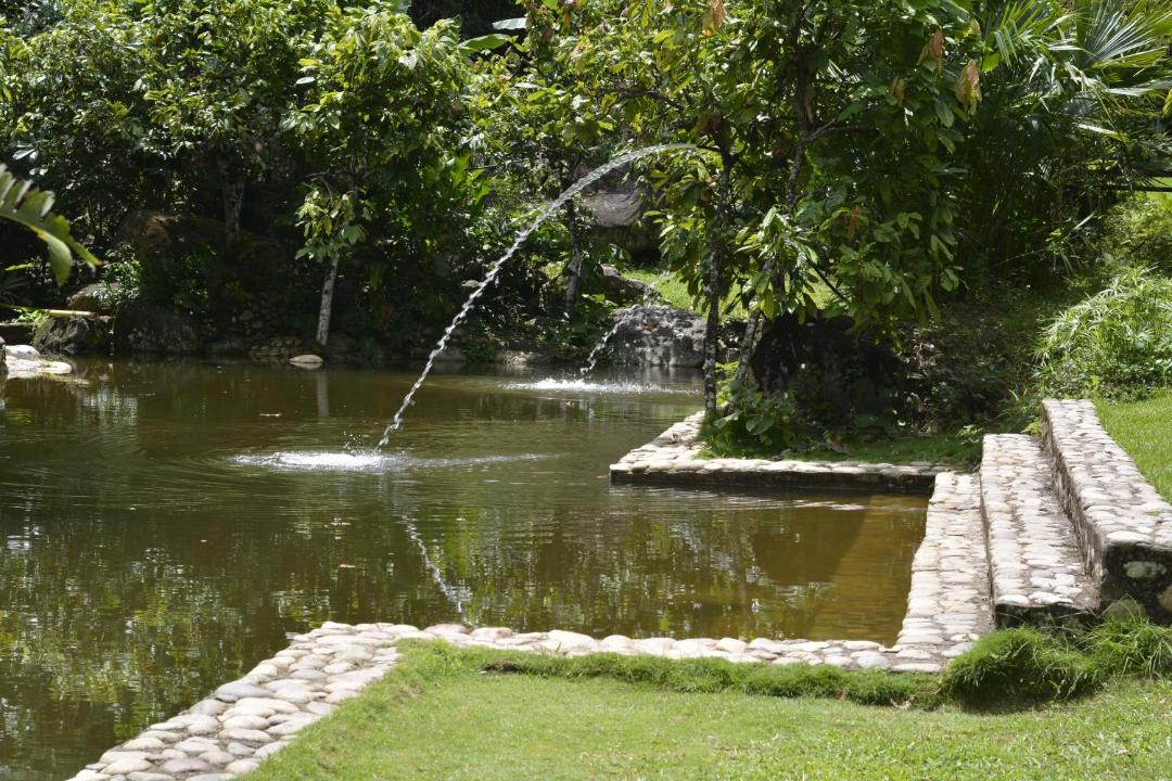 Photo of Others in Campoalegre