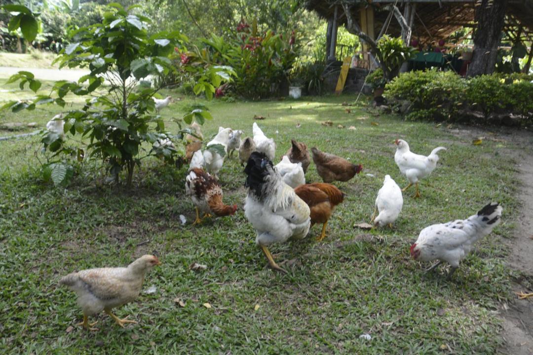 Photo of Others in Campoalegre