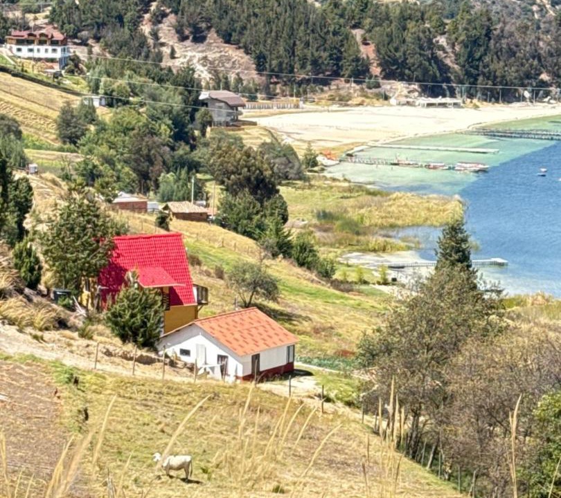Photo of Others in Tota