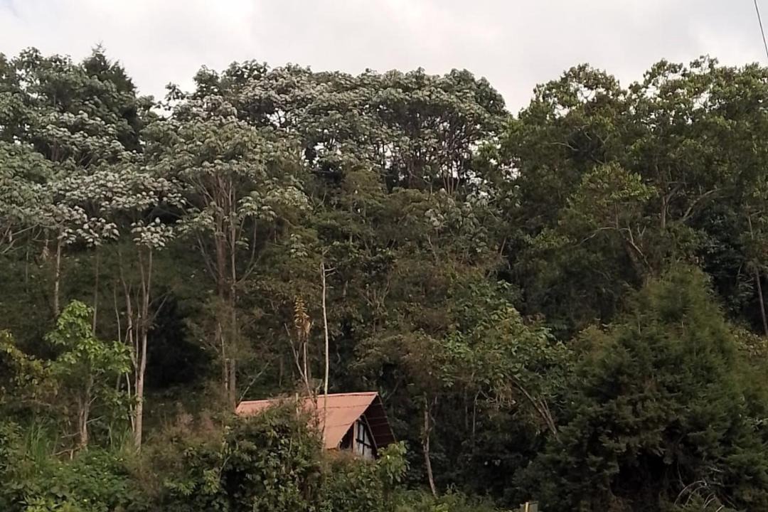 Photo of Others in Manizales