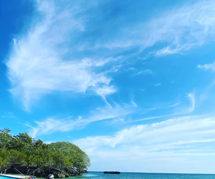 Photo of Others in Rosario Islands
