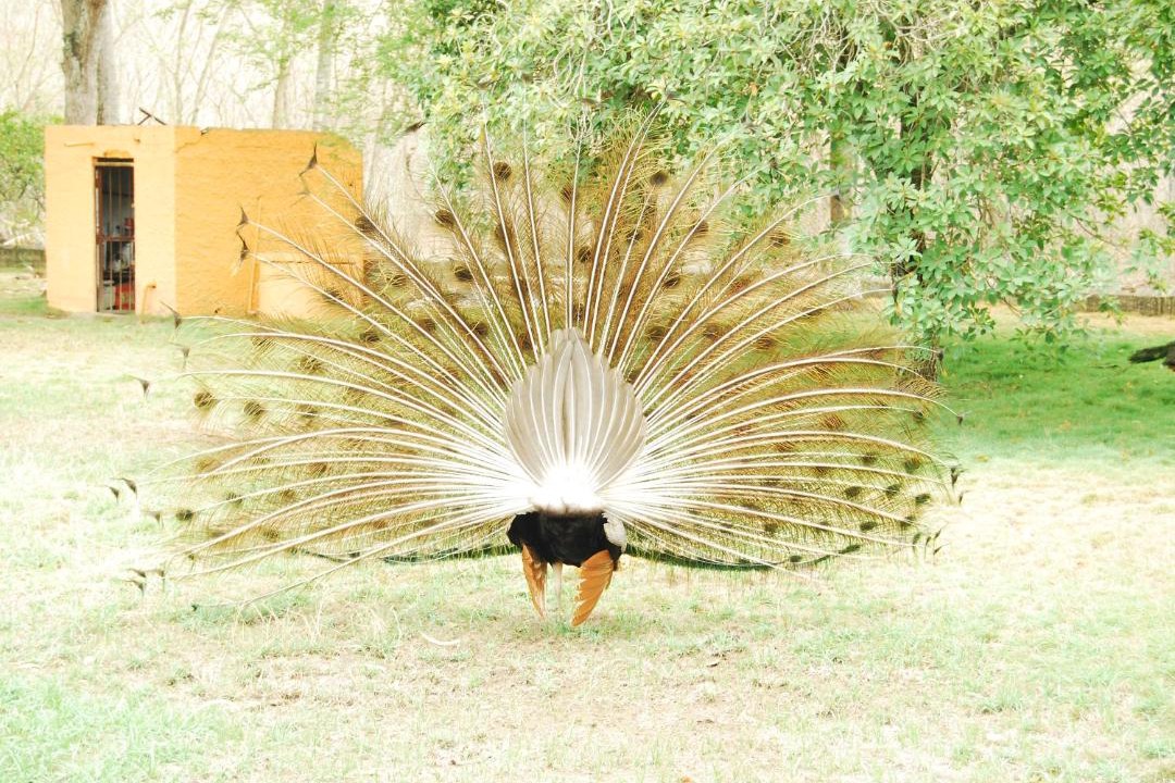 Photo of Others in Santa Fe de Antioquia