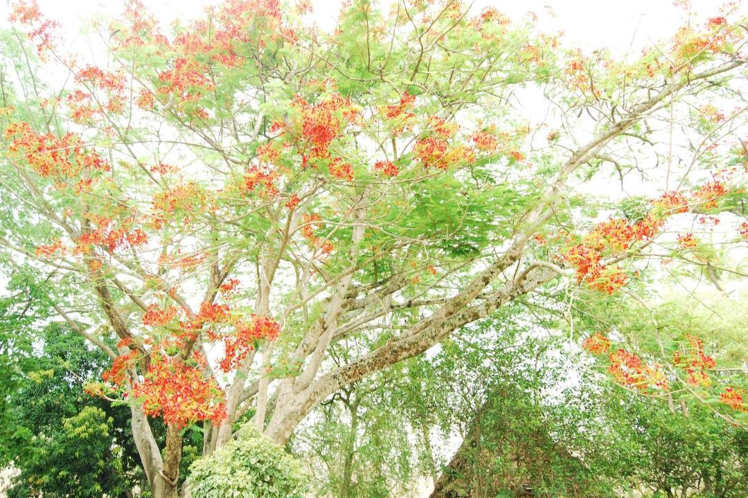 Photo of Others in Santa Fe de Antioquia