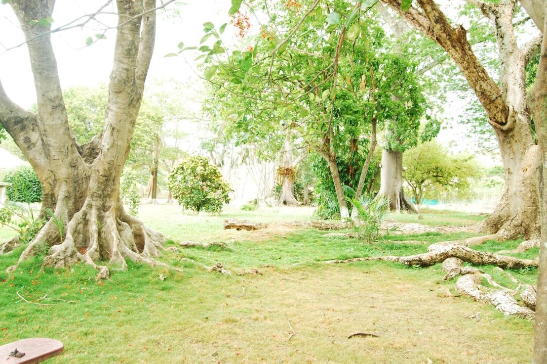 Photo of Others in Santa Fe de Antioquia
