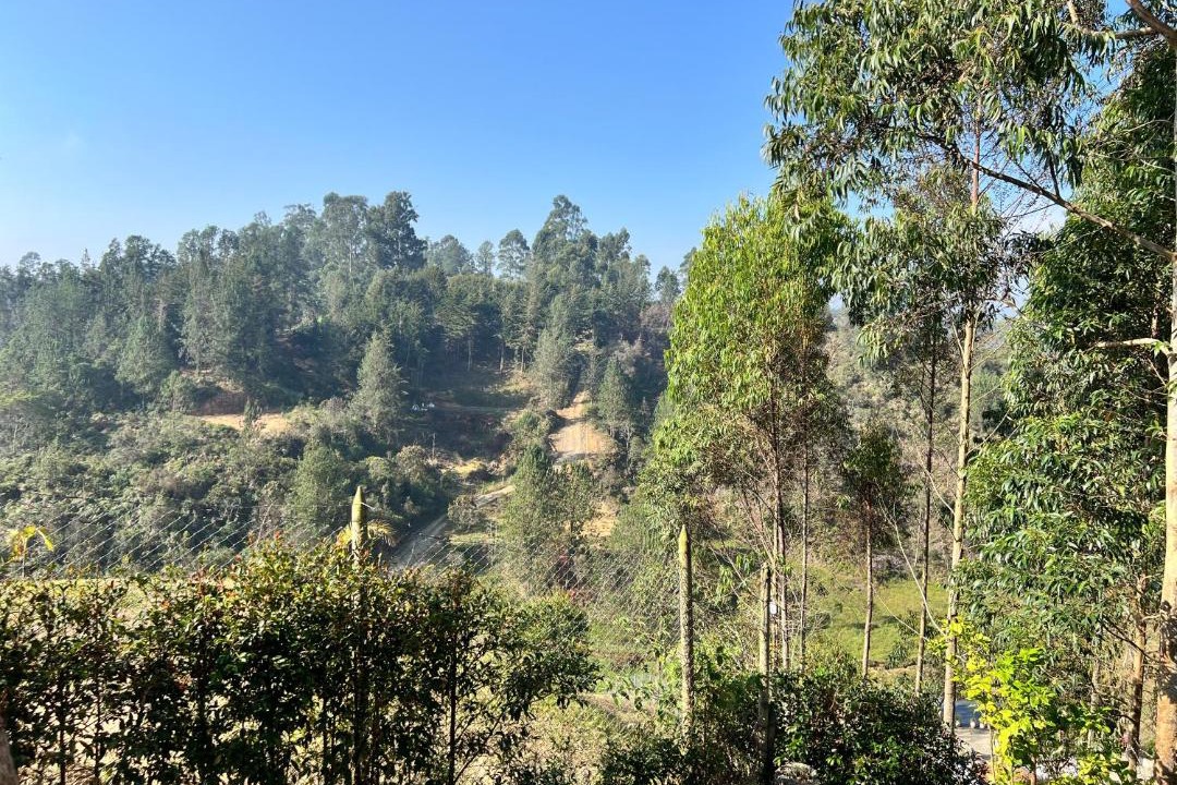 Photo of Others in San Vicente