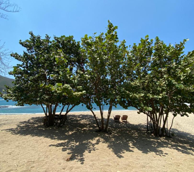 Photo of Others in Santa Marta