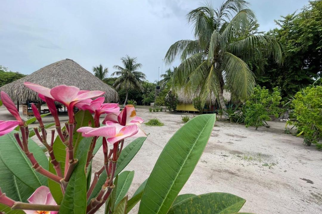 Photo of Others in Rosario Islands