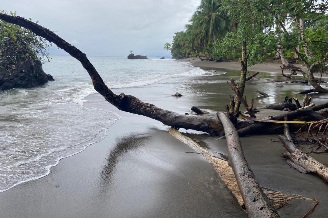 Photo of Others in Nuqui