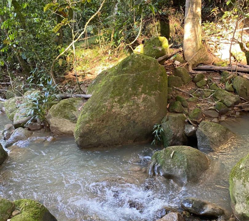 Photo of Others in Guaduas