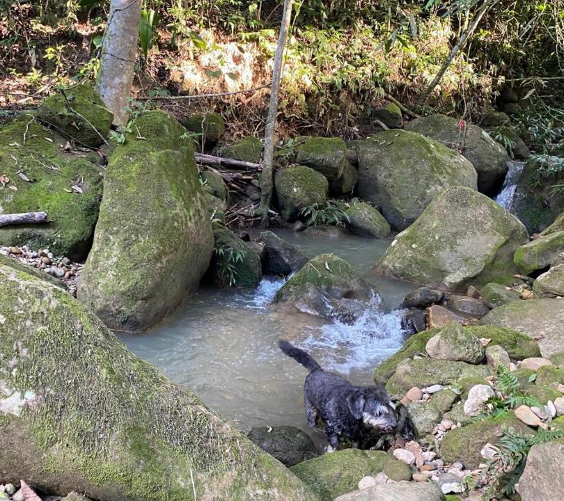 Photo of Others in Guaduas