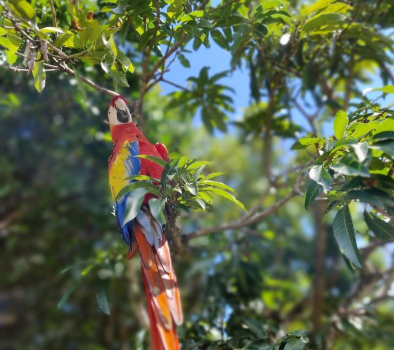 Photo of Others in Anapoima