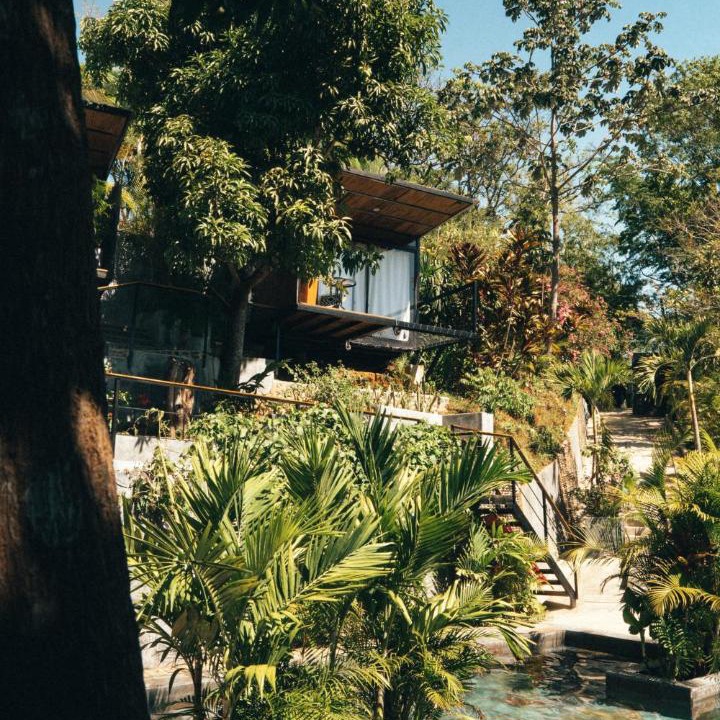 Photo of Others in Minca