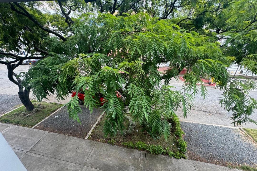 Photo of Others in San Fernando