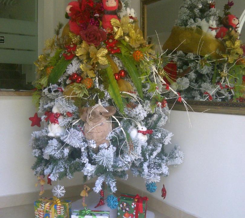 Photo of Others in Curiti