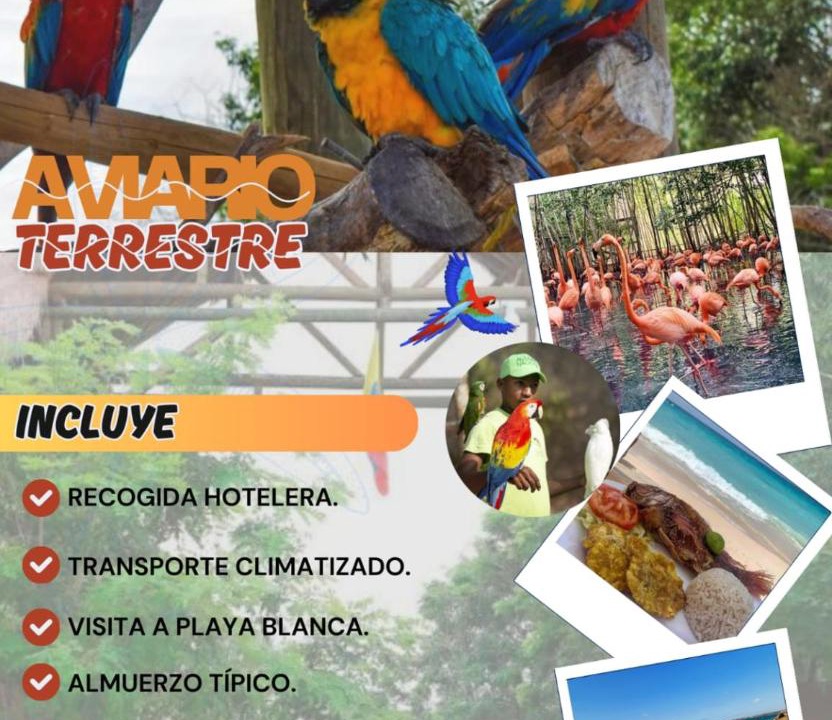 Photo of Others in Torices