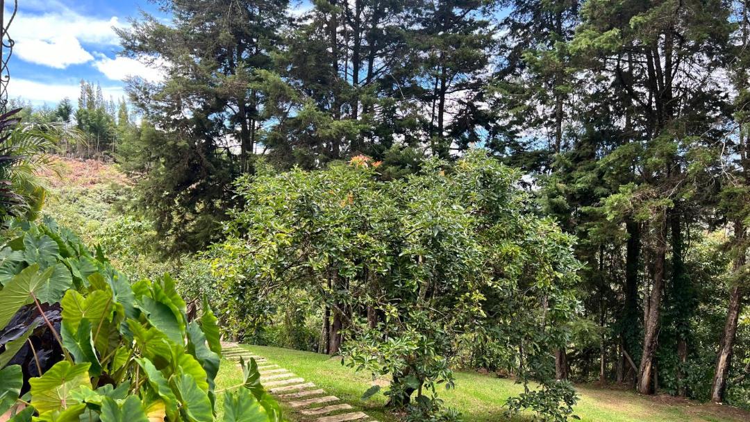 Photo of Others in Rionegro
