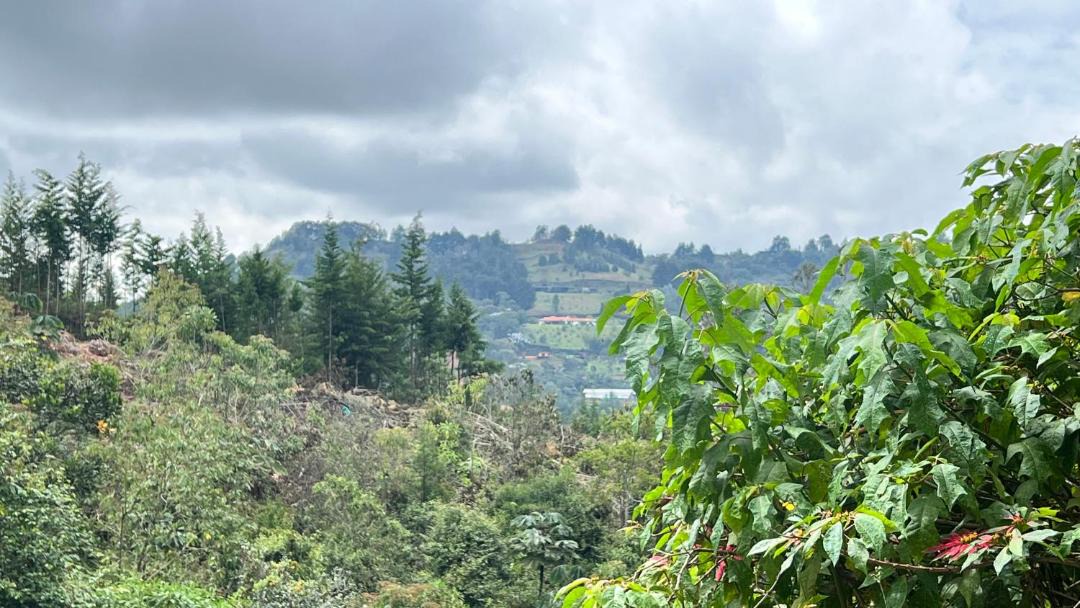 Photo of Others in Rionegro