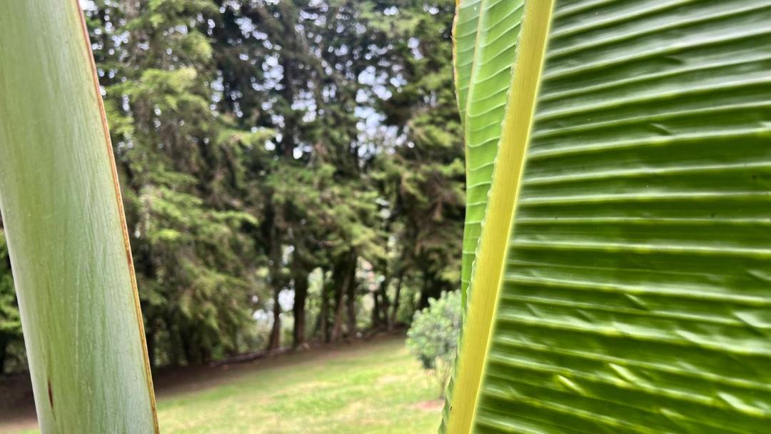 Photo of Others in Rionegro