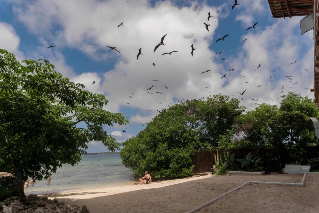 Photo of Others in Rosario Islands