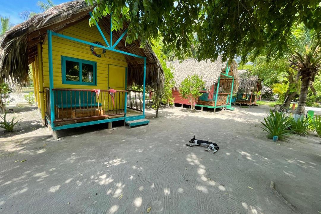 Photo of Others in Rosario Islands