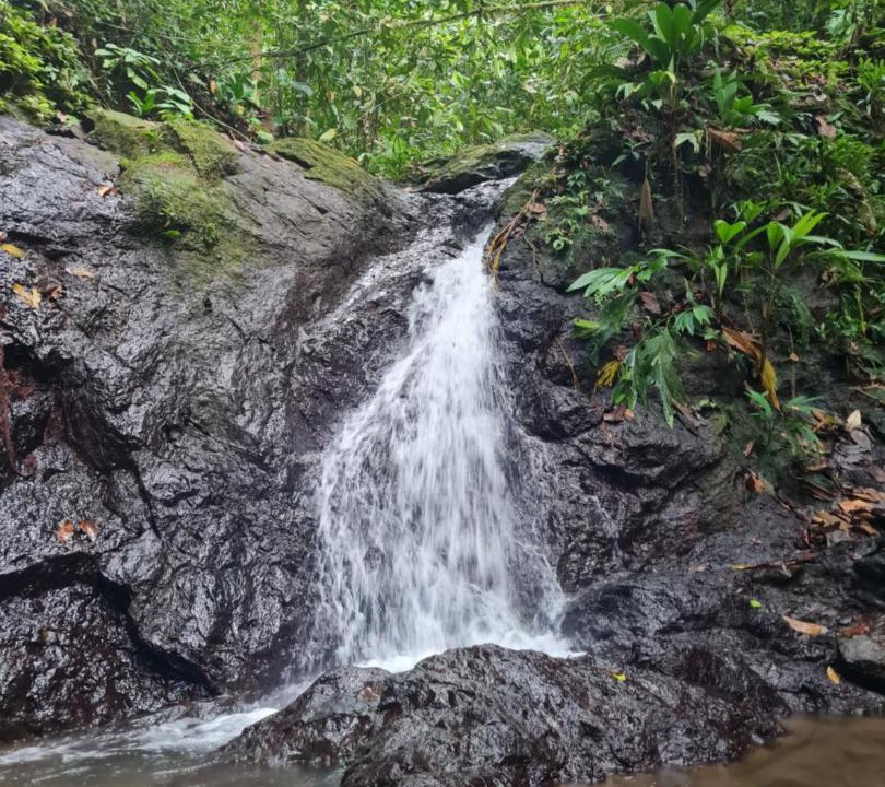 Photo of Others in Nuqui