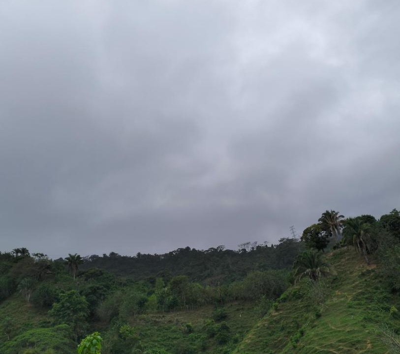 Photo of Others in Buritaca