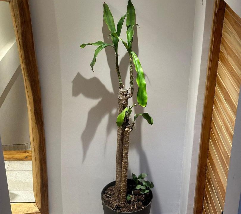 Photo of Bathroom in Bocagrande