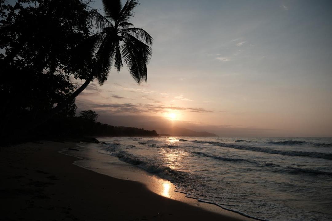 Photo of Others in Nevamar