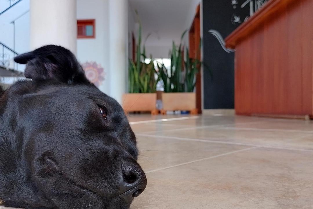 Photo of Others in Villa de Leyva