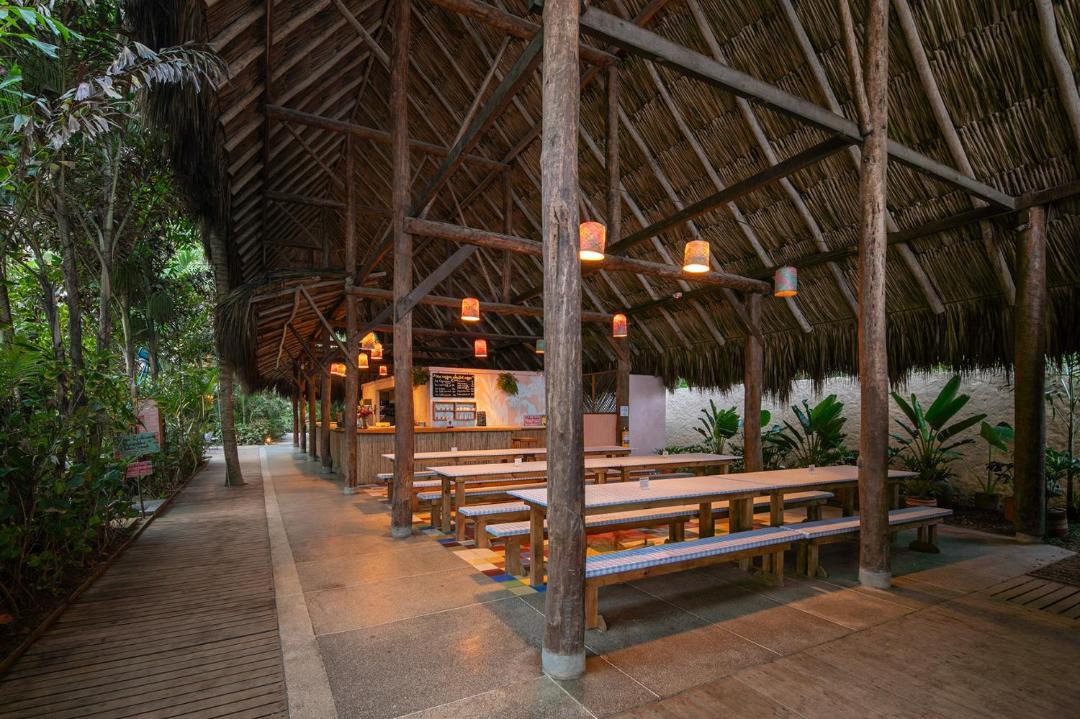 Photo of Others in Guachaca