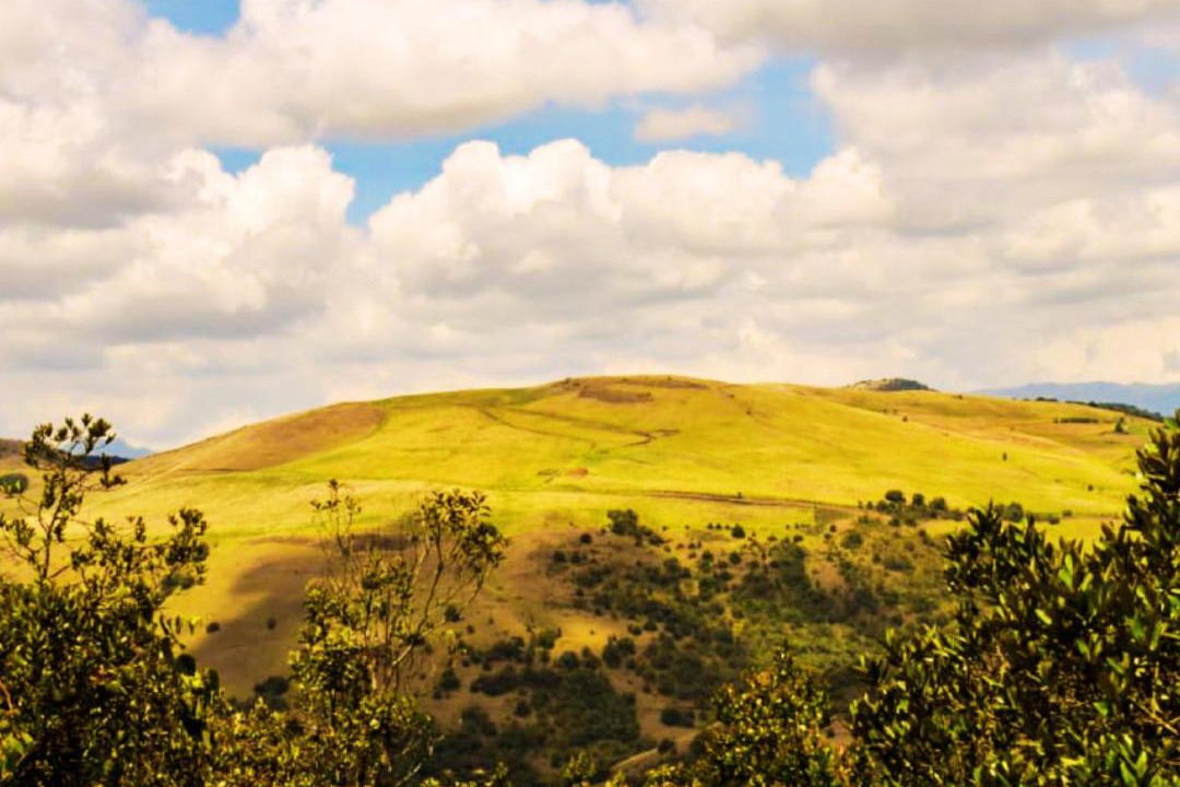 Photo of Others in Suesca