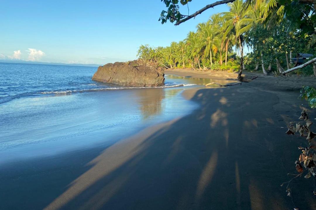 Photo of Others in Nuqui