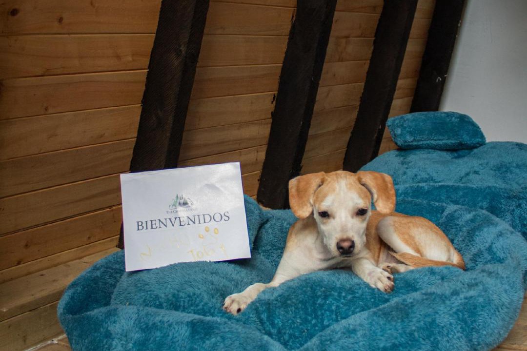 Photo of Others in Guarne