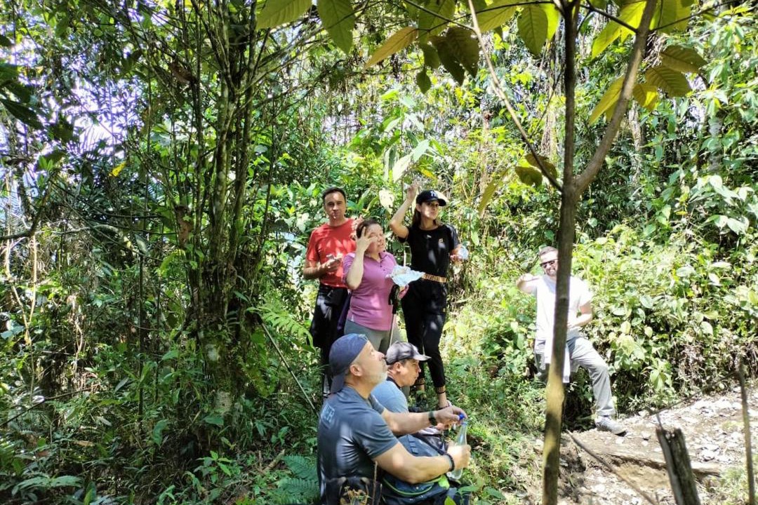 Photo of Others in El Carmen de Viboral