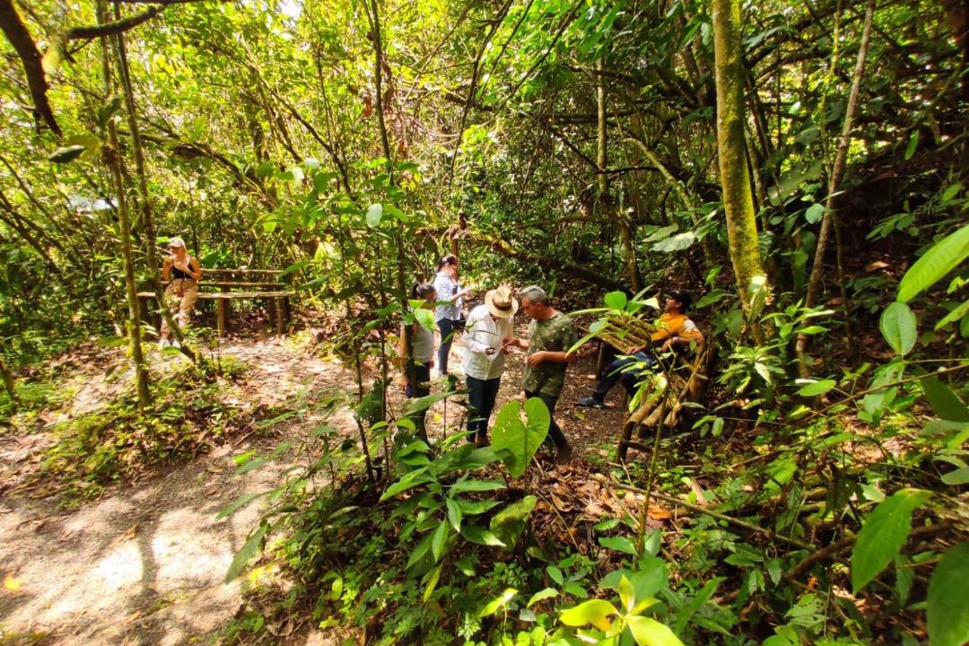 Photo of Others in Manizales