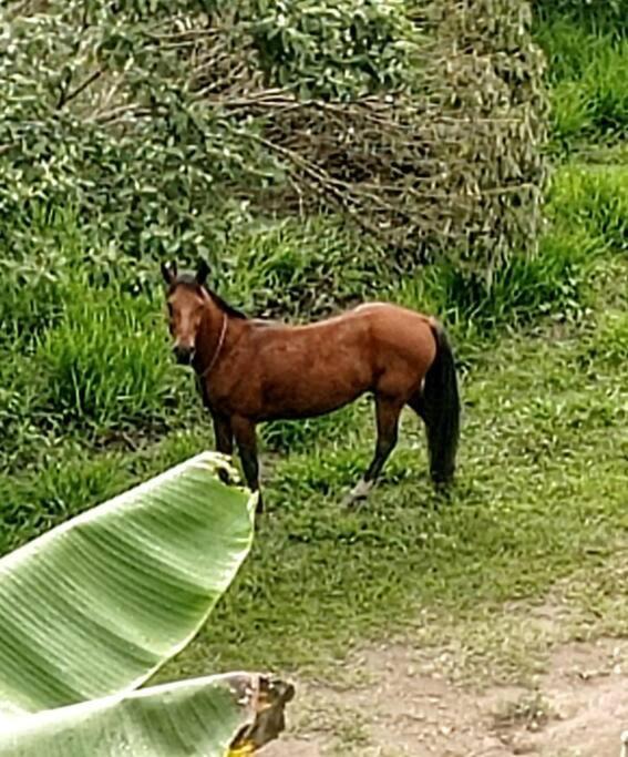 Photo of Others in Vergara