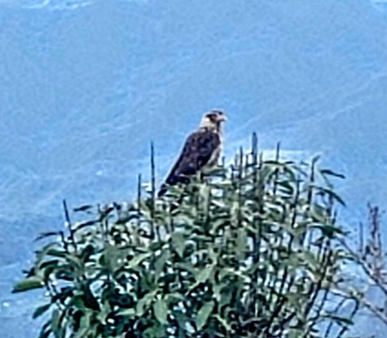 Photo of Others in Vergara