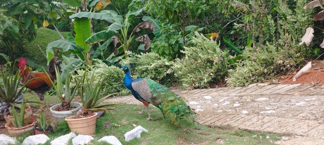 Photo of Others in Puerto Triunfo