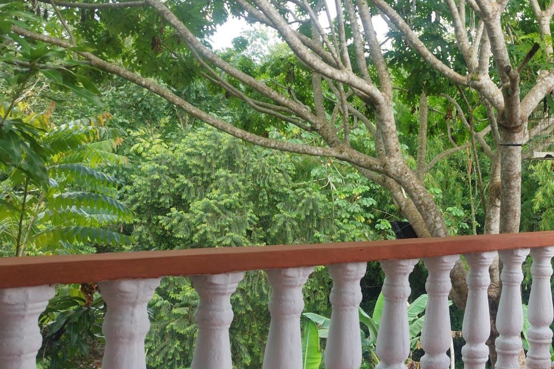 Photo of Others in Puerto Triunfo