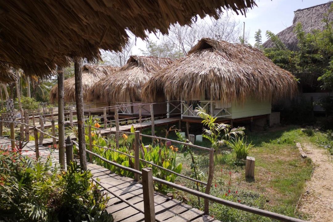 Photo of Others in Rincon