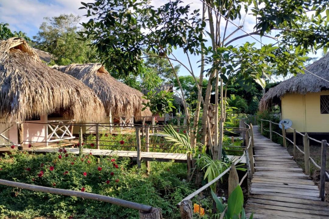 Photo of Others in Rincon