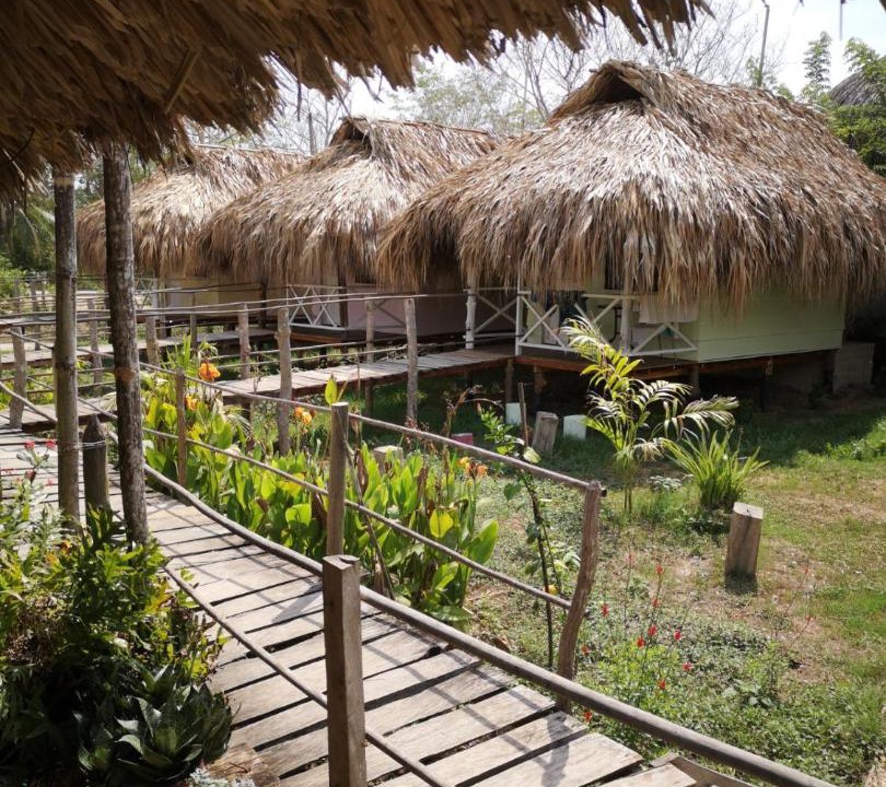 Photo of Others in Rincon