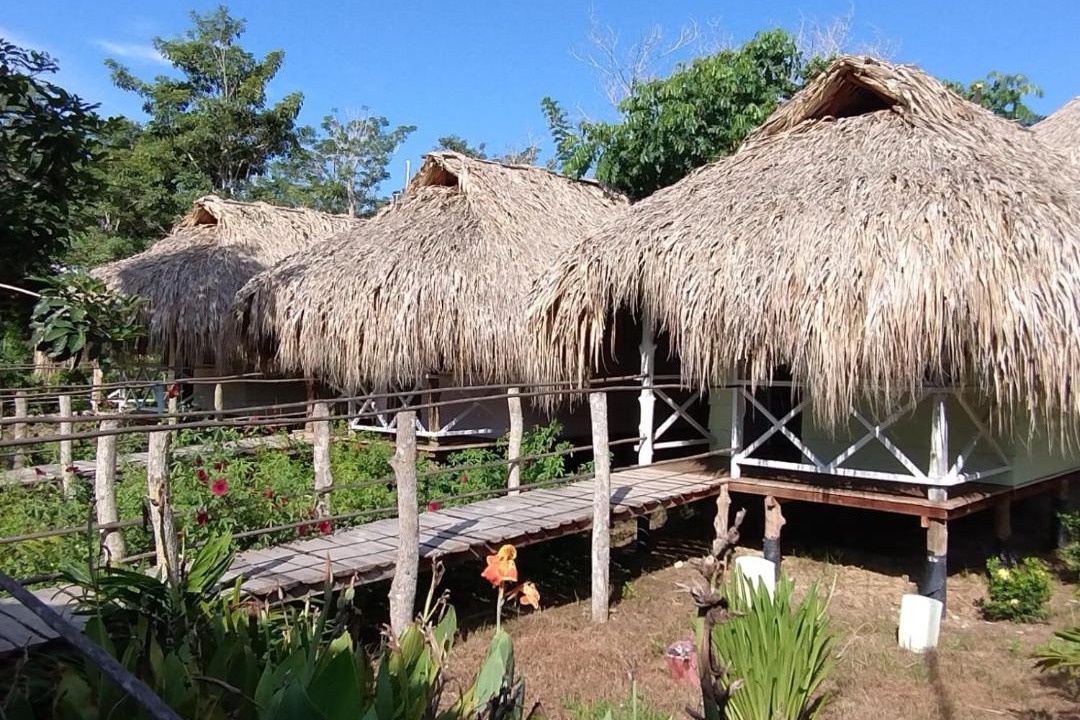 Photo of Others in Rincon