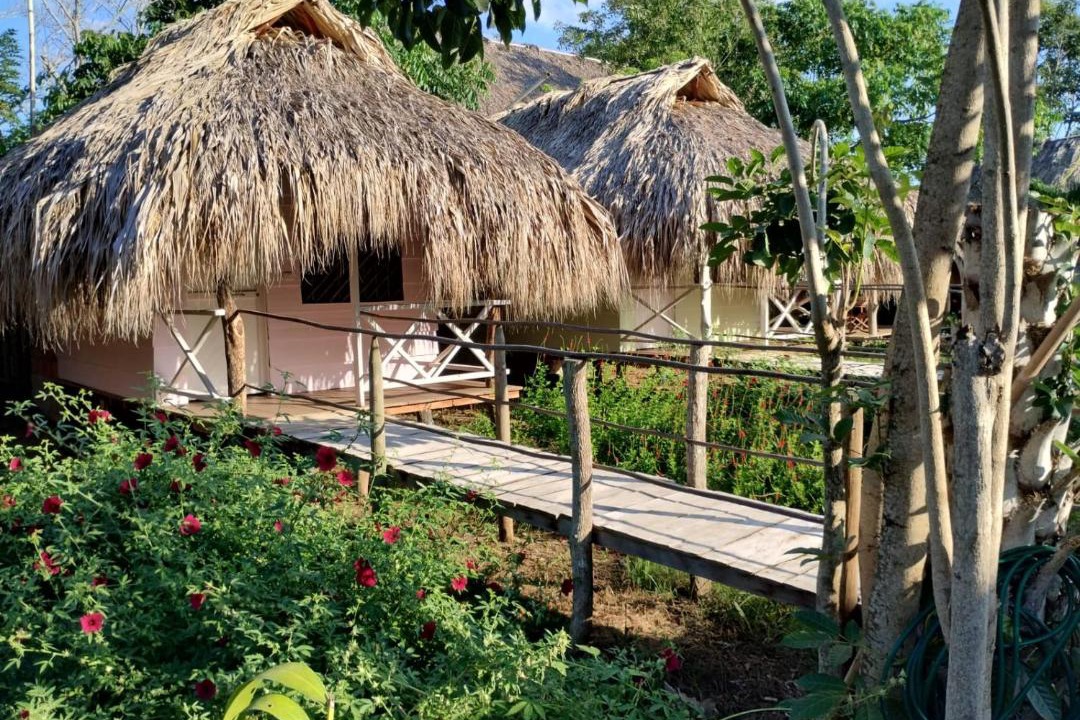 Photo of Others in Rincon