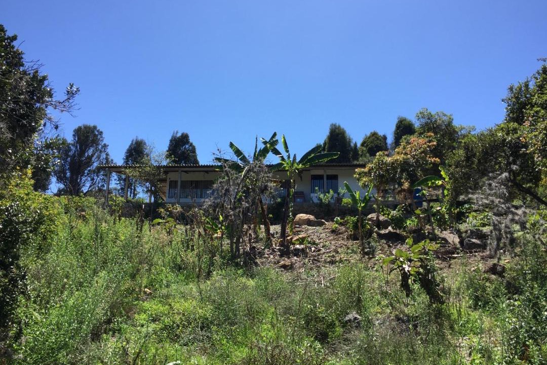 Photo of Others in Raquira